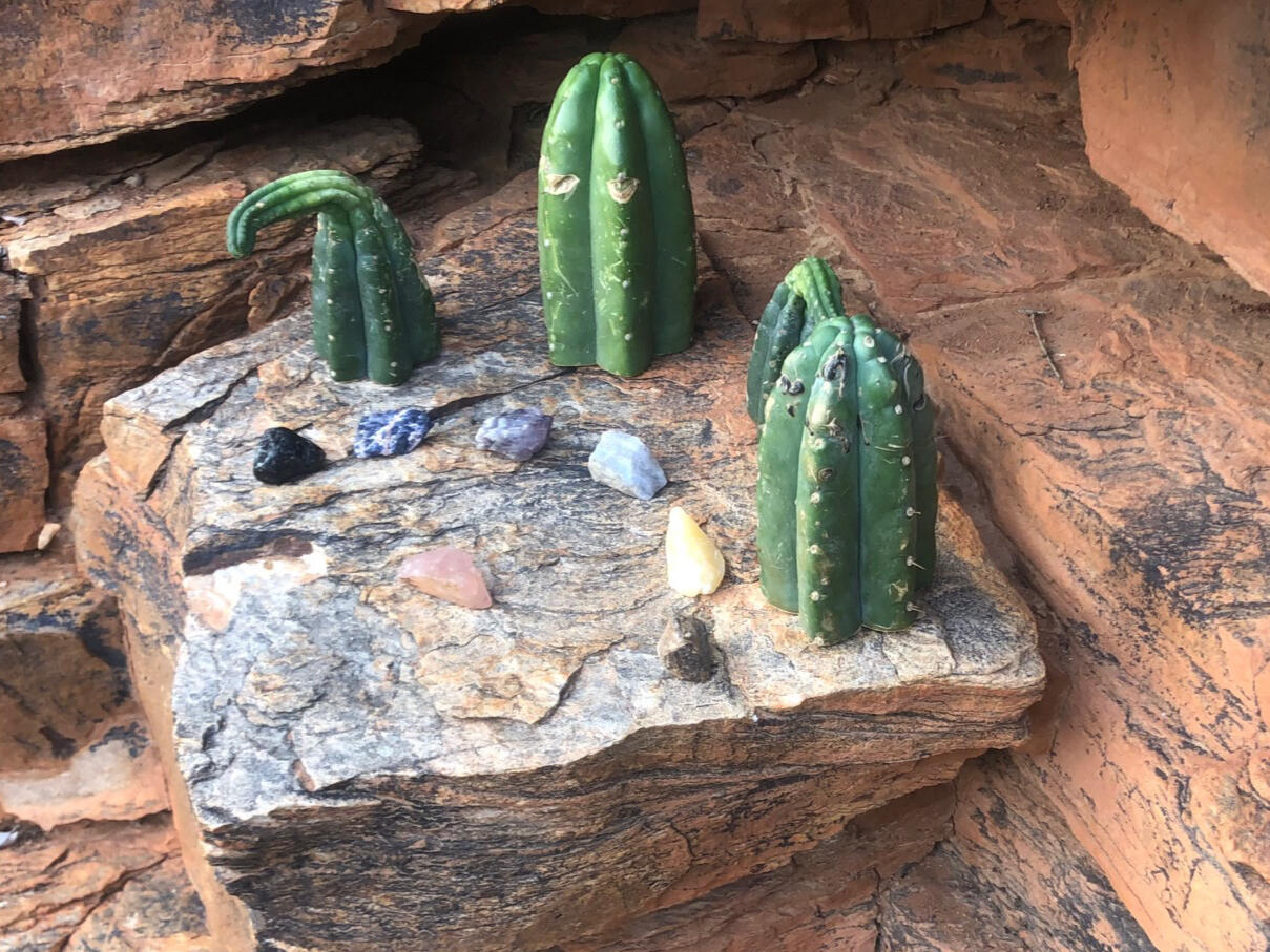 San Pedro (Huachuma) cactus altar with crystals, Cederberg Mountains